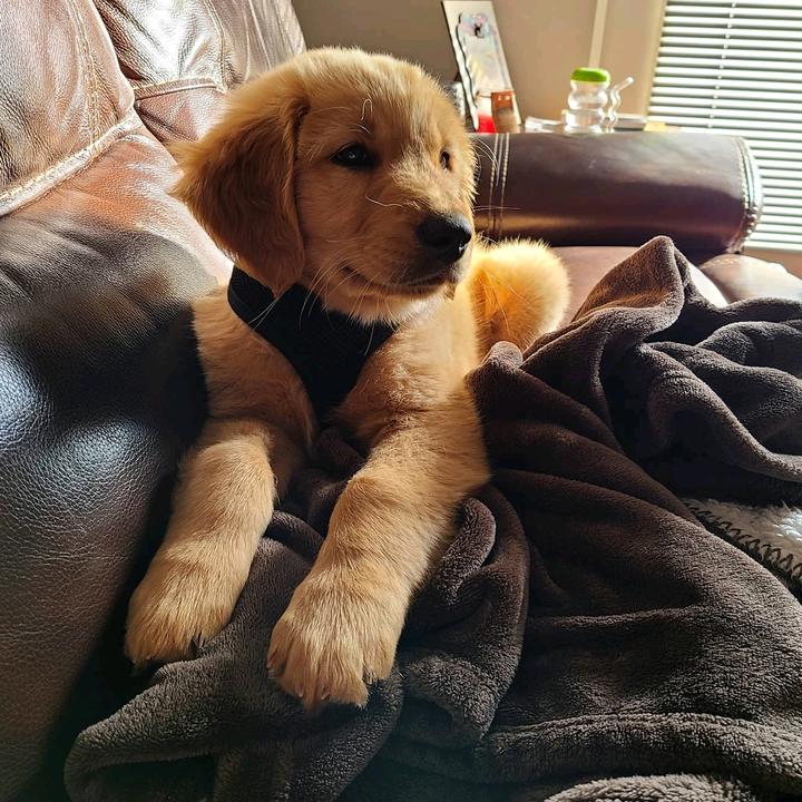 Profile Picture of Sarah Keen (@@sarahkeen0) on Tiktok
