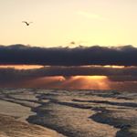 Profile Picture of Steve de Linde (@sdelinde) on Instagram