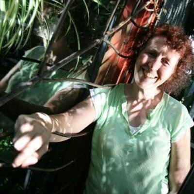 Profile Picture of Pam Carr (@pam_carr) on Twitter