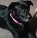Profile Picture of Lisa Fizer (@lisa.fizer.54) on Facebook