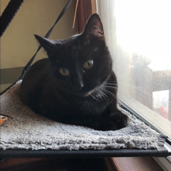 Profile Picture of Julie Senkowski (@senkowski89) on Poshmark