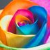 Profile Picture of Sheri Gay (@sheri.goo.52) on Facebook