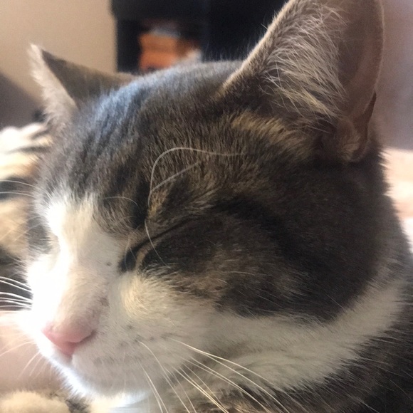 Samantha Hawksworth - Poshmark Profile Picture of Samantha Hawksworth (@rusticshine1) on Poshmark