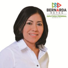 Profile Picture of Bernarda Reyes Hernández (@BernardaReyesH) on Twitter