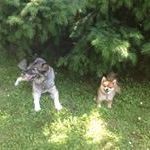Profile Picture of Mark Masthoff (@markmasthoff) on Pinterest