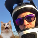 Profile Picture of James Dingman (@jamseybmx) on Instagram