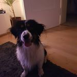 Profile Picture of James Triebel (@triebeljames) on Instagram