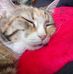 Profile Picture of Silvia Selzer (@silvia.selzer.351) on Facebook