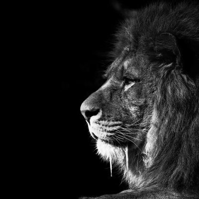 Profile Picture of Maverick Joe Branham (@Maverick_Bran12) on Twitter