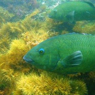 Profile Picture of Jorgen Andersen (@jorgen.andersen.370) on Facebook