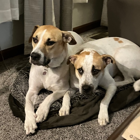 Profile Picture of Molly Manderfield (@person1046) on Poshmark