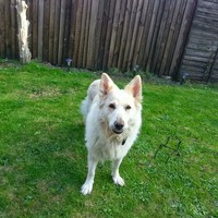 Profile Picture of Stacie Brogan (@stacie-brogan) on Quora