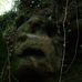 Profile Picture of Stuart Coleman (@stuart.coleman.9465) on Facebook
