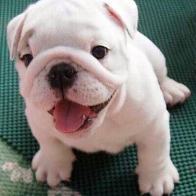 Profile Picture of Brett Hemphill (@Brettholdingon) on Twitter