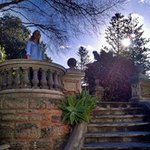 Profile Picture of Abbie Boydellison (@abszey7) on Instagram