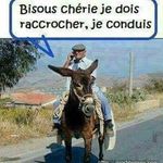 Profile Picture of Michel Vulpin (@michelvulpin) on Instagram