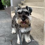 Profile Picture of Felix giles (@pascale_giles_) on Instagram