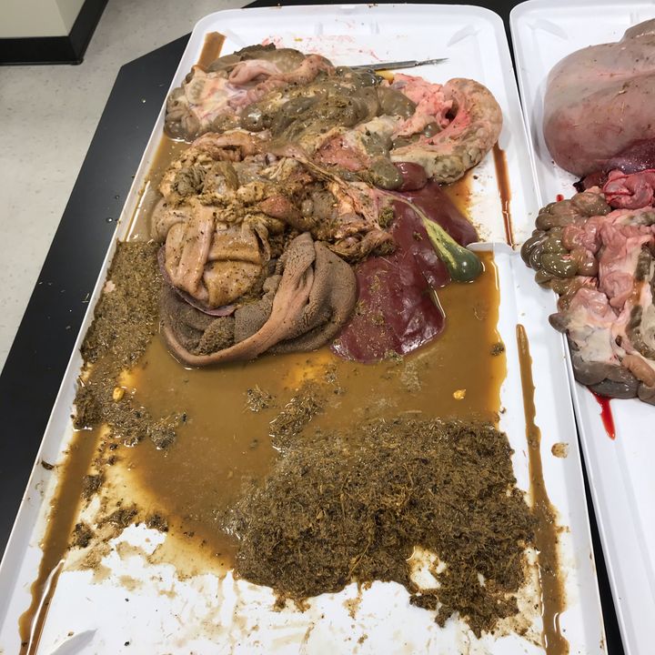 Profile Picture of John Kozak (@@koz4k523) on Tiktok