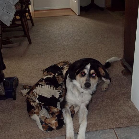 Profile Picture of Karen Witchey (@kwitchey) on Poshmark