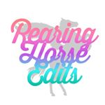 Profile Picture of Digital Horse Art (@rearing.horse.edits) on Instagram