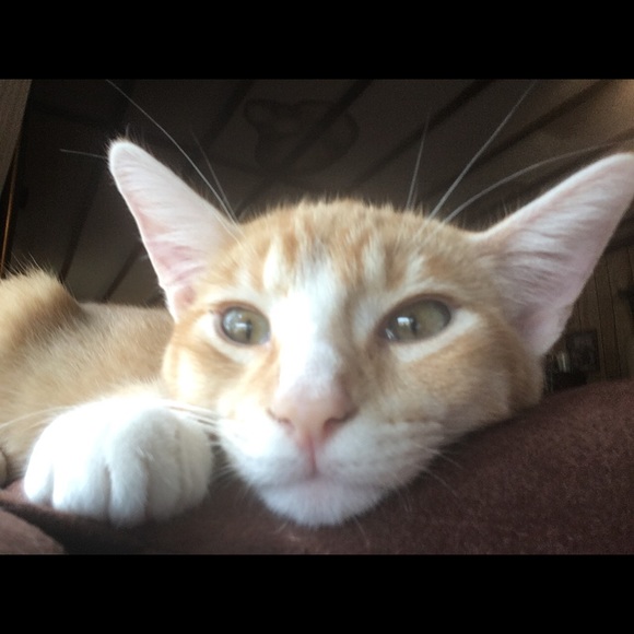 Profile Picture of Chris Hubble (@chris_hubble) on Poshmark