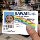 Profile Picture of   sammie (@sammie.bea) TikTok... (@sammie.bea) on Tiktok