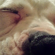 Profile Picture of John Belcher (@gunnysakk) on Youtube