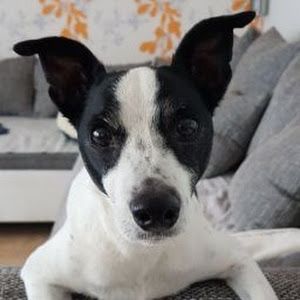 Profile Picture of Marianne Keil509 (@mariannekeil509) on Tiktok