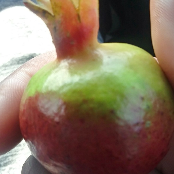 Profile Picture of Deontre Lafayette (@deontre_l) on Poshmark