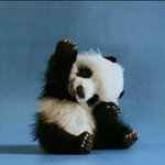 Profile Picture of Paulette Brendis (@paulettebrendis) on Instagram