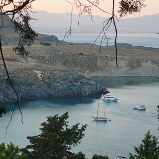 Profile Picture of Alice Moylan (@alice.moylan.3) on Facebook