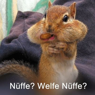 Profile Picture of Jeremy Rosner (@RewiIstDerKing) on Twitter