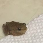 Profile Picture of james owen (@jamesd_owen) on Instagram