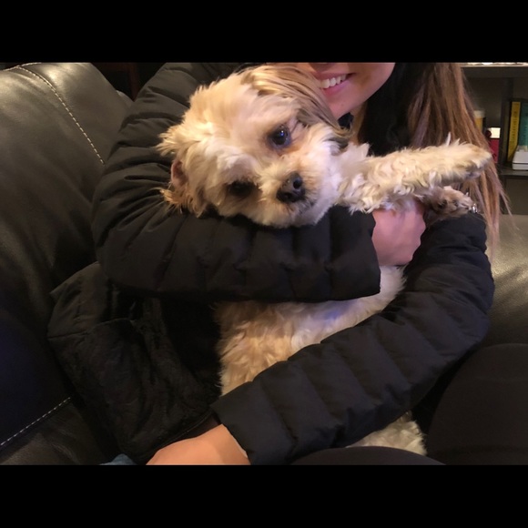 Profile Picture of Misa Kawamoto (@misa7) on Poshmark