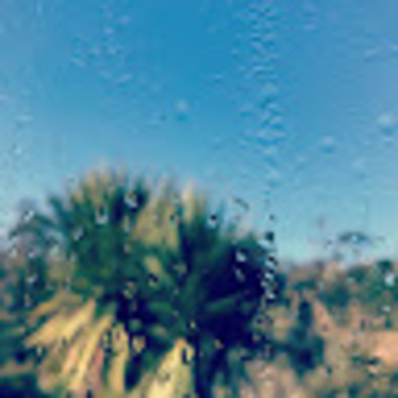 Profile Picture of Saraya rowlands Rowlands (@sarayarow) on Poshmark