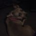 Profile Picture of Randy Nutt (@randy.nutt.161) on Facebook