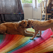 Profile Picture of Jonathan Kemp (@TheFutileExercise) on Youtube