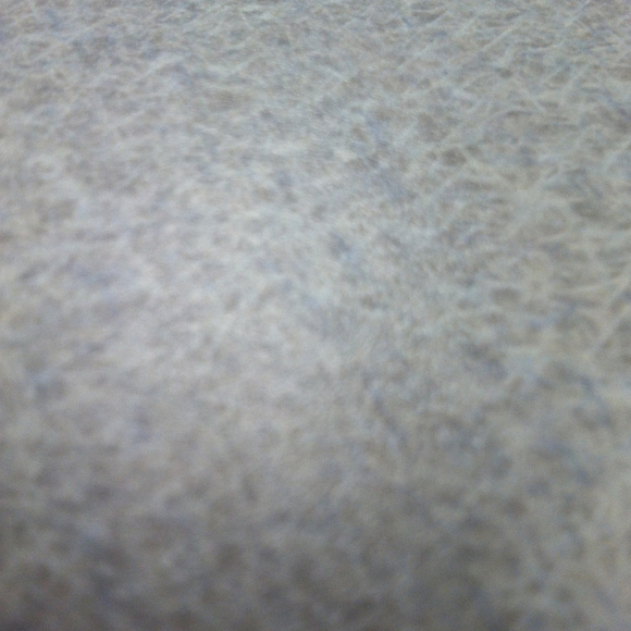 Profile Picture of Nicole Capone (@nfcapone) on Poshmark