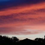 Profile Picture of Paul Frederik Overbeck (@paulfrederikoverb) on Instagram