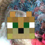 Profile Picture of football champion (@bloxhamrobert) on Instagram