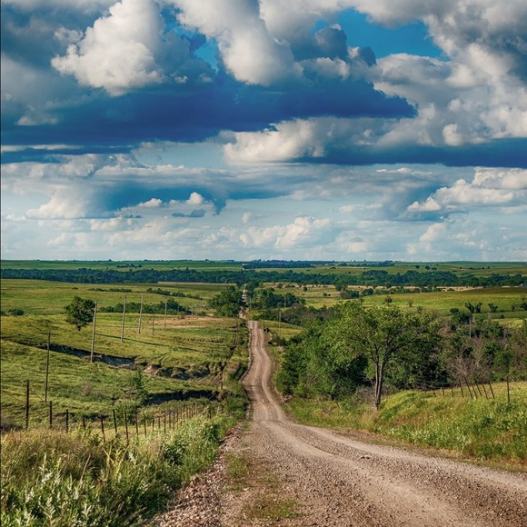 Profile Picture of Pamela Dunham (@prdunham) on Poshmark