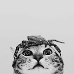 Profile Picture of jamestakeaway (@jamestakeaway) on Instagram