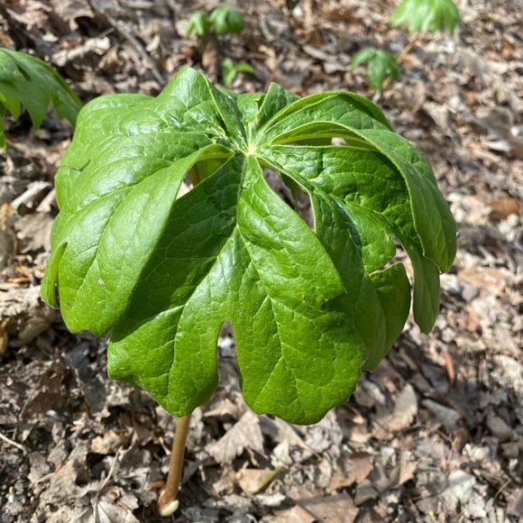 Ryan Witt - Poshmark Profile Picture of Ryan Witt (@ryanwitt118) on Poshmark