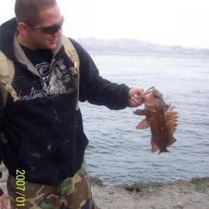 Profile Picture of Daniel Zwolinski (@zuba27) on Myspace