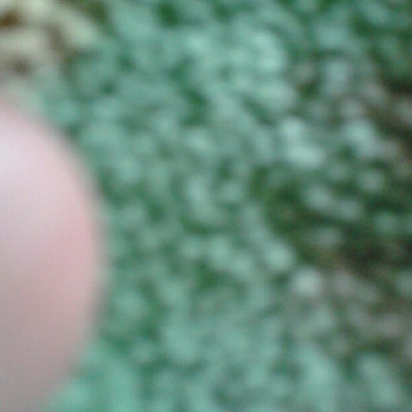 Profile Picture of Cesar Tercero (@cesartercero) on Poshmark