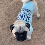 Profile Picture of christian Nave Lizarraga (@christian_nave) on Instagram