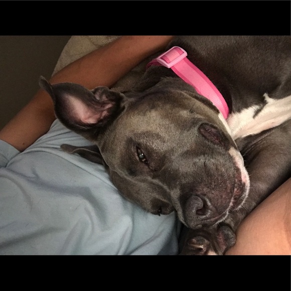 Profile Picture of Jeremy Wortman (@yotebcp) on Poshmark