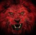Profile Picture of Daniel De Smedt (@daniel.desmedt.75) on Facebook