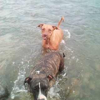 Profile Picture of Steve Hasner (@steve.hasner.52) on Facebook