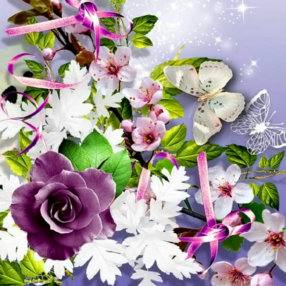 Profile Picture of Tisha Sebren (@tishsebren) on Poshmark